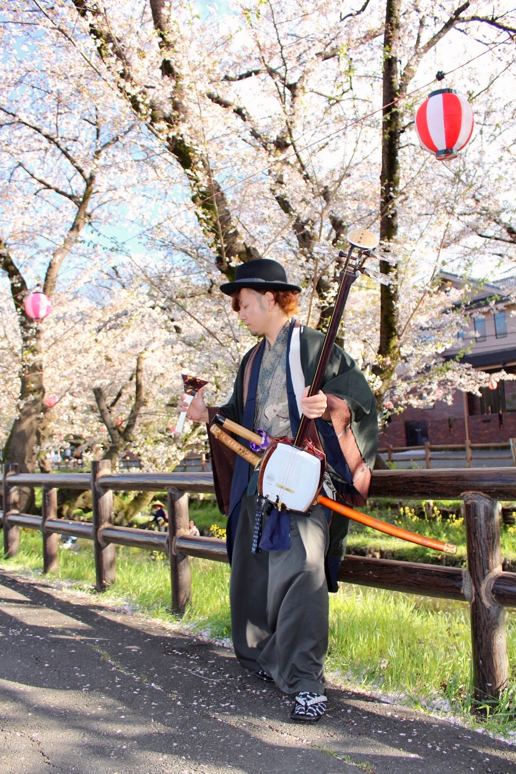 Masaki playing shamisen beneath cherry blossoms